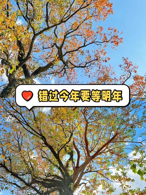 错过要等一年!最佳观测时机就在这个月
