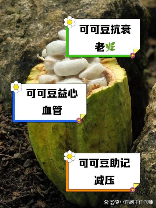 可可豆飙出历史天价 巧克力要吃不起了?
