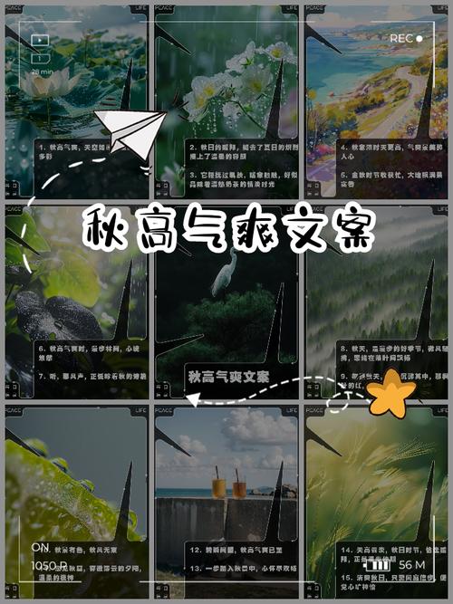 秋高为何气爽?一文告诉你