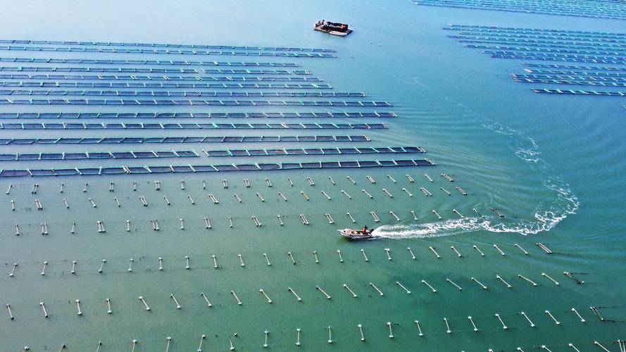 福建:耕海牧渔 建设“海上粮仓”