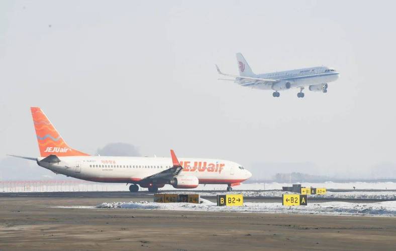 哈尔滨机场春节黄金周运送旅客、起落航班数均创历史新高