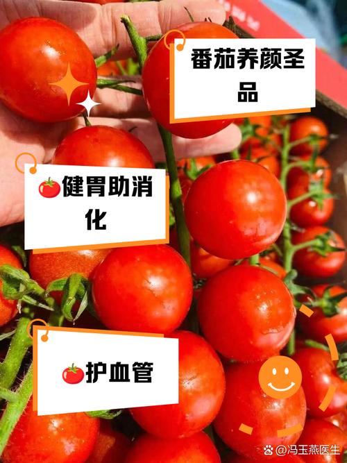 番茄的“黄金搭档”,辅助降压、养护血管,营养又美味!