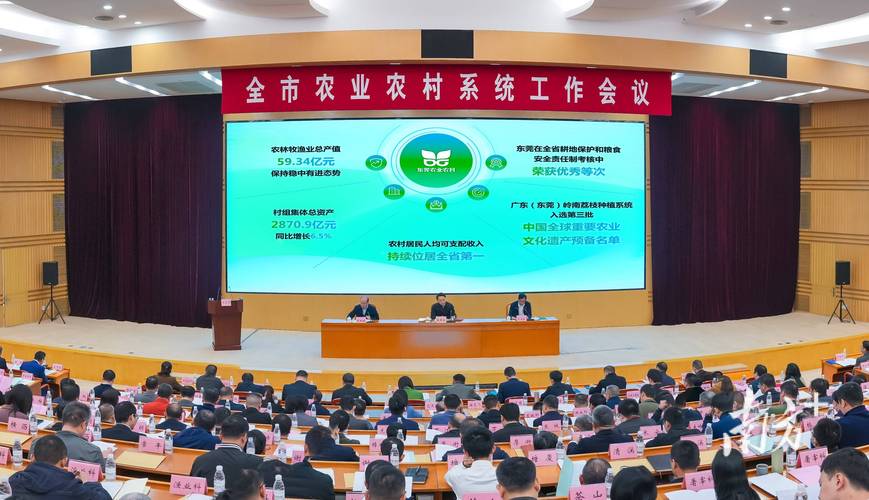 “年度分红”“项目分成”双制联动 重庆释放国有林场新活力