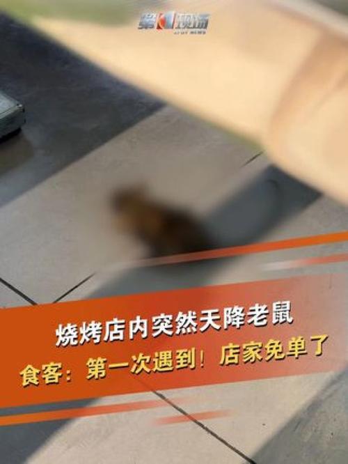 吓人!火锅店“天降”2只老鼠,掉到食客头上