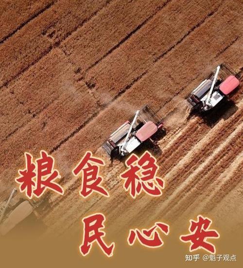 三夏时节涌现更多“科技范儿” “智慧”让中国人的饭碗端得更稳