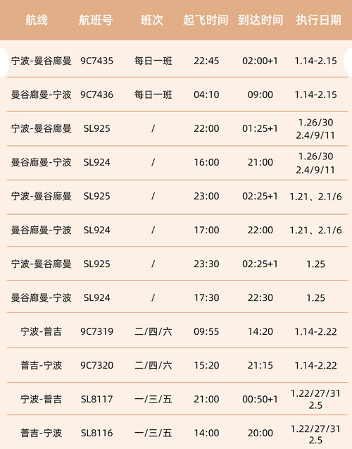 浙江宁波机场今年春运出入境旅客量同比增6成