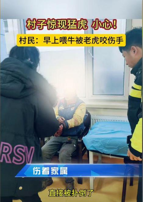 四个小时!被老虎咬伤村民在佳木斯完成手术