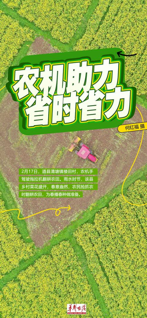 太阳鸟时评:绘就“春耕图”,再夺“丰收年”