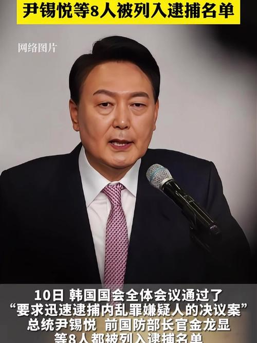 尹锡悦:逮捕令是非法的