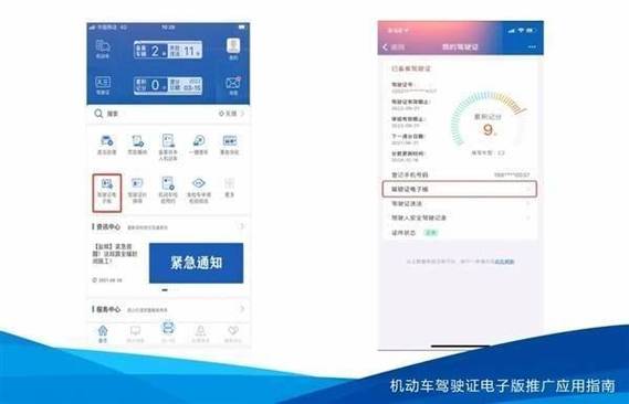 60个城市试点!公安交管部门已发放电子驾驶证2.5亿个