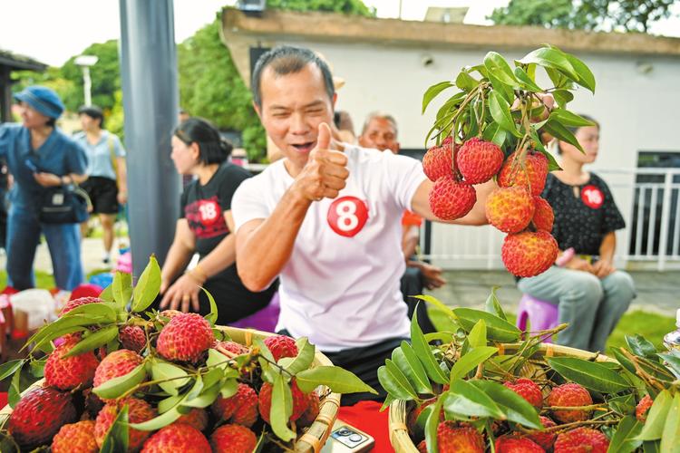 品荔枝玩游戏热闹非凡 2024海口市琼山区荔枝月活动开幕