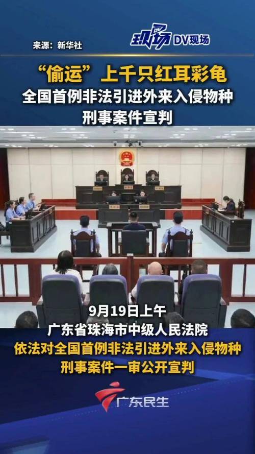 获刑9个月 罚十万 全国首例非法引进外来入侵物种案一审宣判