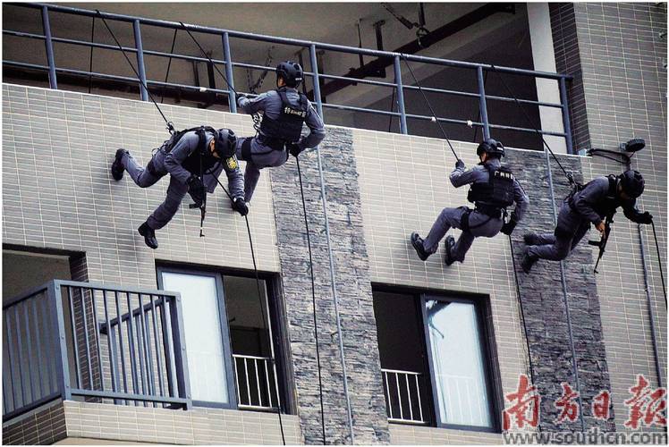 新春走基层丨海口特警五大队“新兵”开练