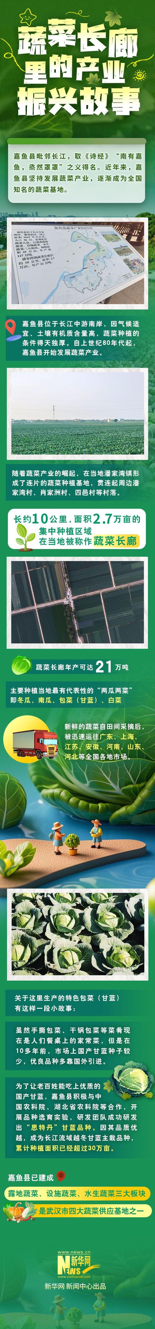 新春走基层丨这里的果蔬何以能“南来北往”?——山东莱芜发展智慧农业一线见闻
