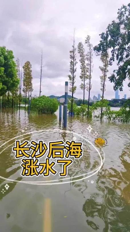 长沙暴雨小时雨量破纪录 多路段内涝地铁停运