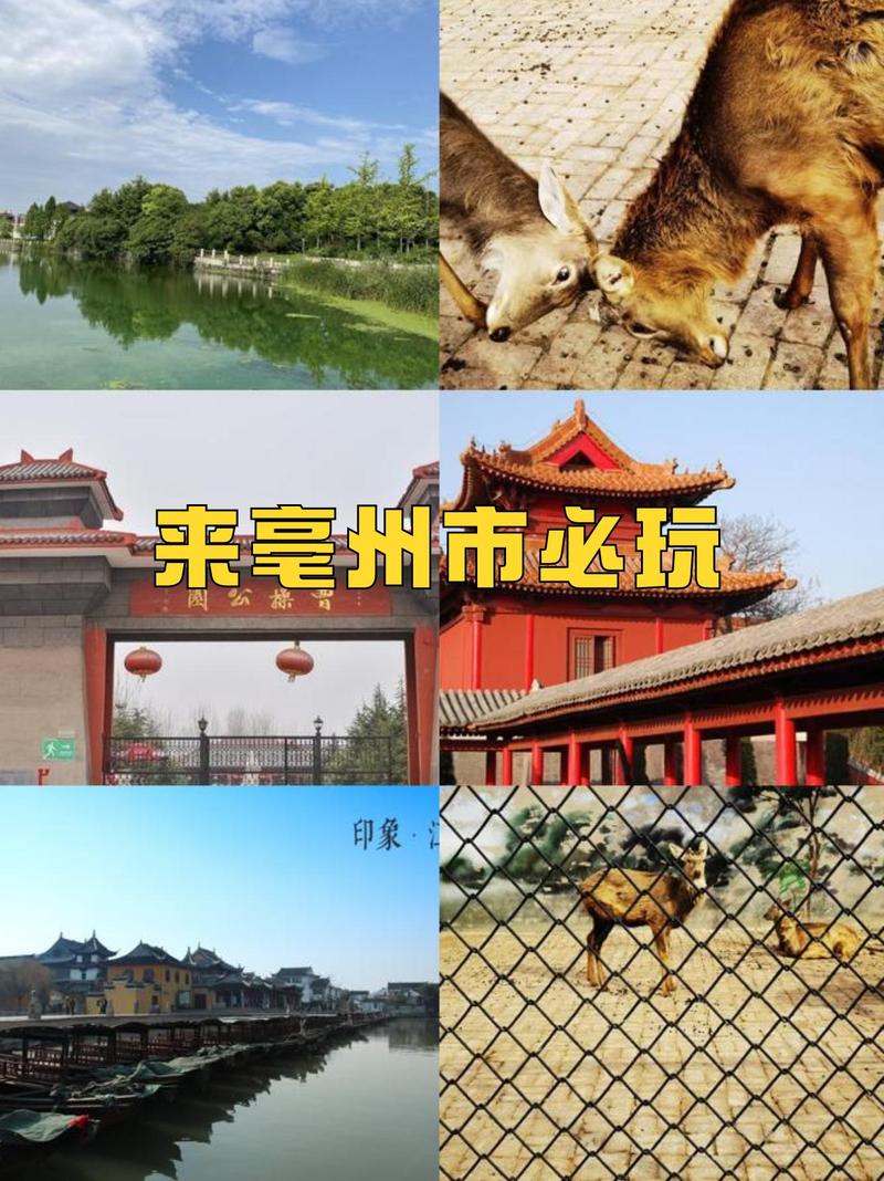 春游江淮请你来|和游客们一起感受亳州人文历史体验游(组图)