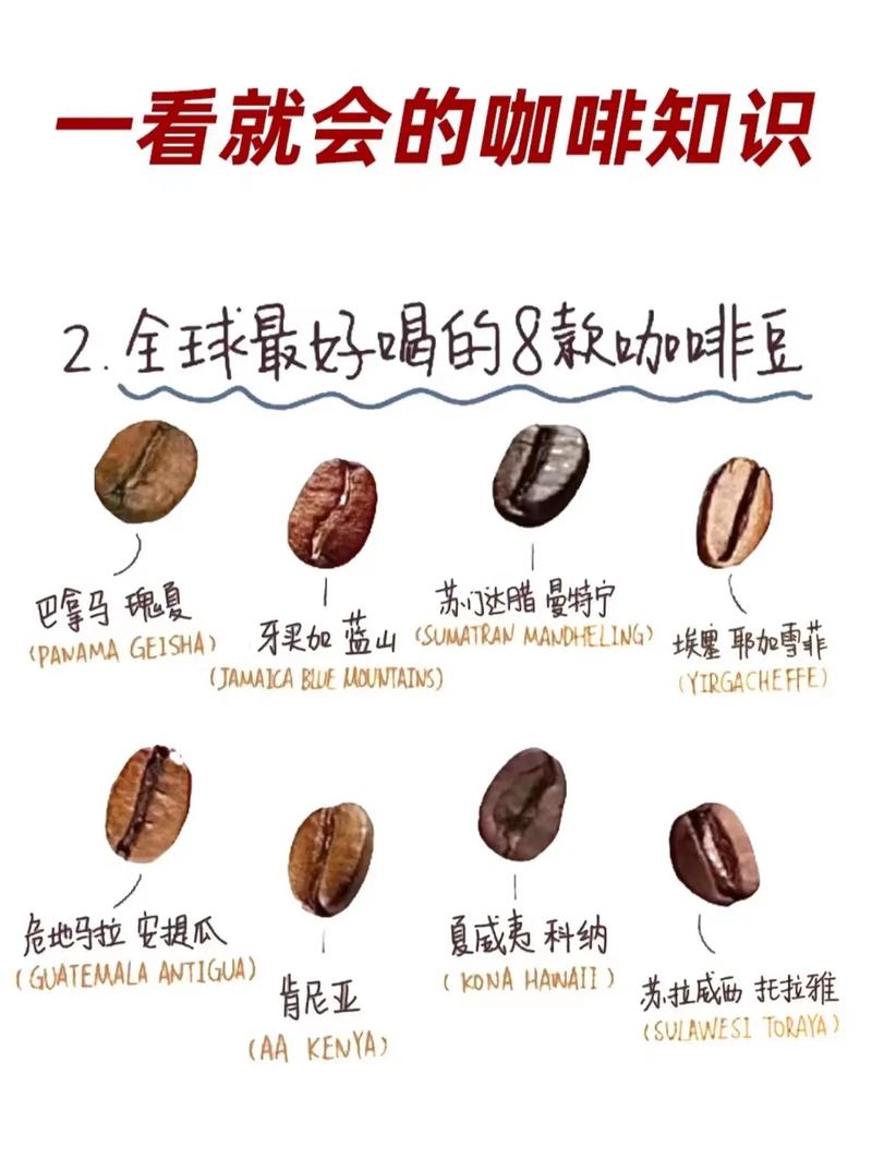 这里不产咖啡豆 为何能喜提国际“咖位”?