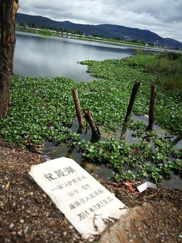 云南杞麓湖:赏旖旎春光 许岁月静好