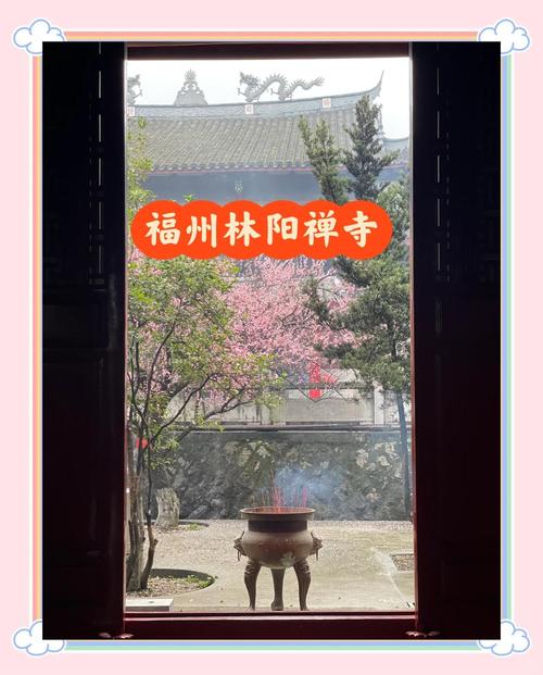福州:千年古刹举办梅花文化节