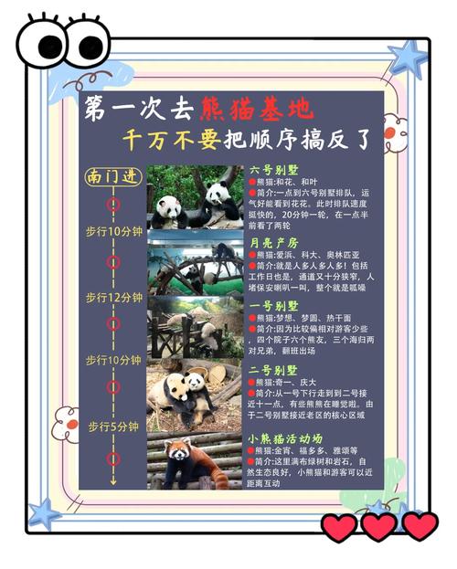 走近熊猫 趣味科普(看台人语)