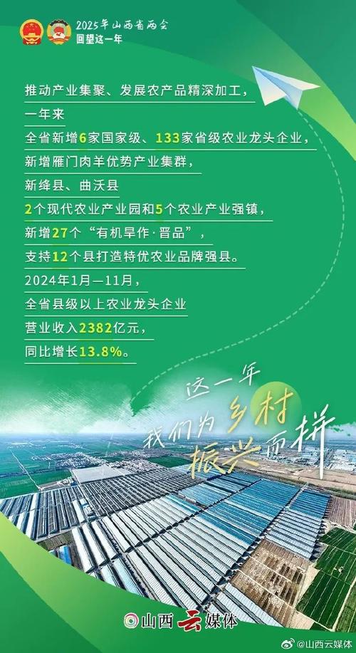 (乡村行·看振兴)湖北长阳:“蔬”写乡村振兴新“丰”景