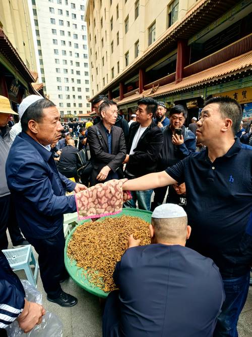 “泽优牧品”走进西宁开展专场推介