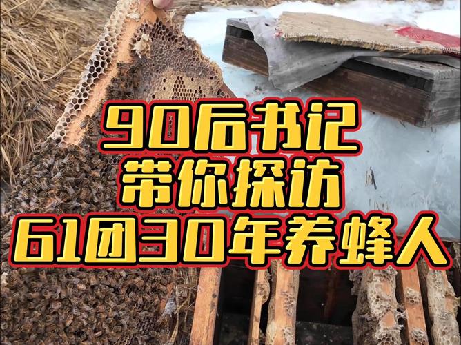 小胡蜂“蛹”出大“钱”景 广西“85后”“追蜂者”探索致富新路