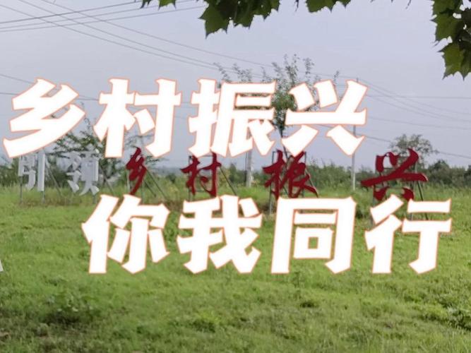 村与村结对并进,共绘乡村振兴新篇章