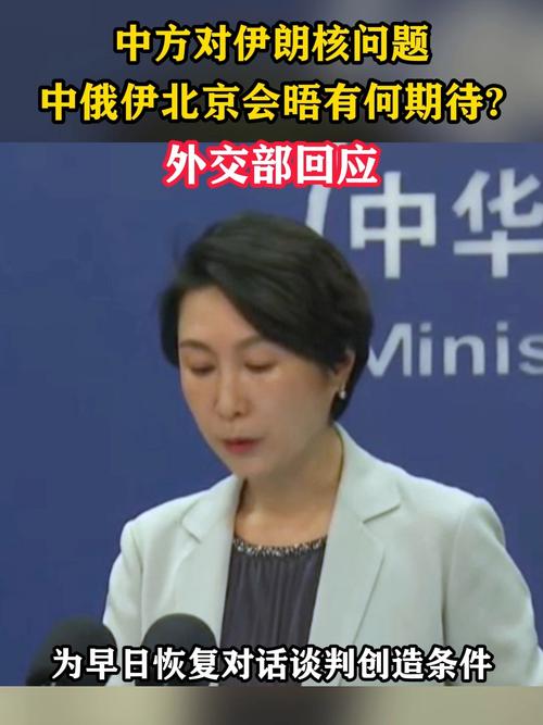 外交部:北京会晤是中俄伊为推动伊朗核问题政治解决的有益尝试