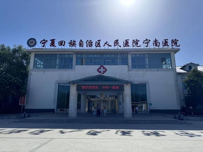 宁夏回族自治区西吉县发布暴雨蓝色预警