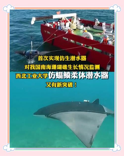 西工大仿蝠鲼柔体潜水器又有新突破