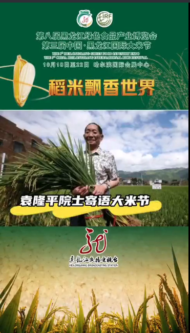 穿越半个地球的稻米已展出!非洲农民托小伙将自己种的大米带回湖南:袁隆平是我的老师