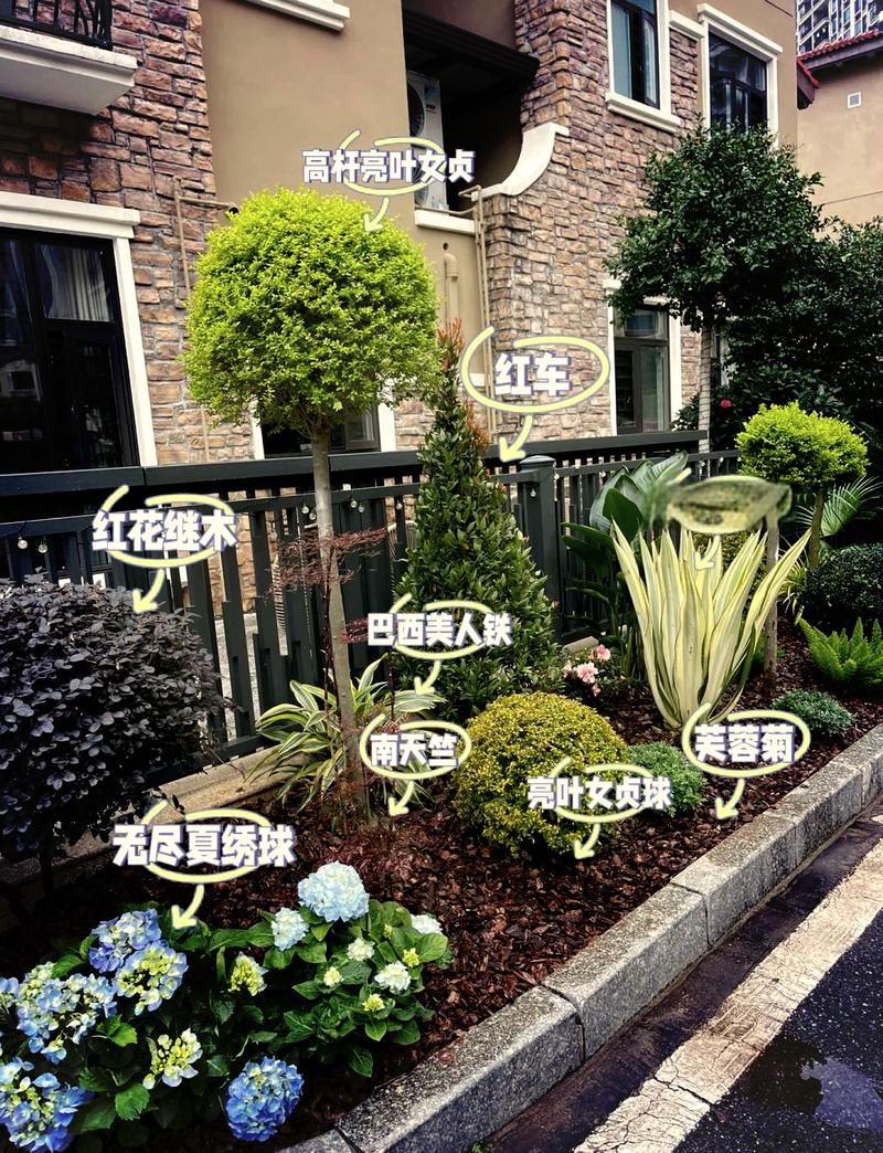 为了节约种植成本 偷挖绿化景观花木