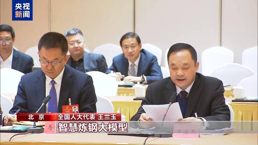 两会同期声丨2025“人工智能+”加速!代表献策规模化应用