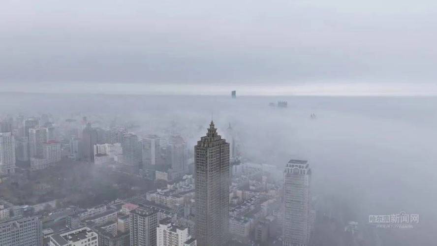 黑龙江省克东县发布大雾黄色预警_4