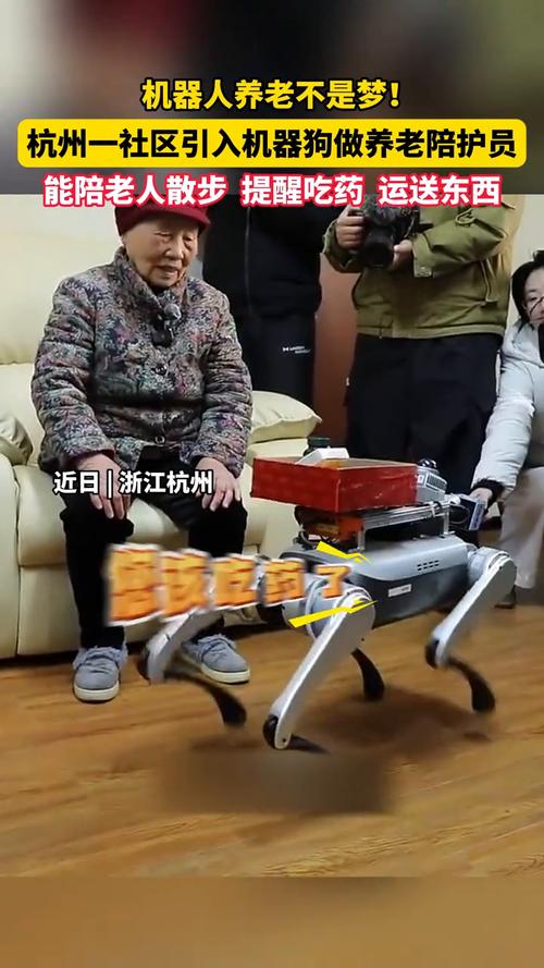 送药、陪老人散步 机器狗上岗“实习”啦!