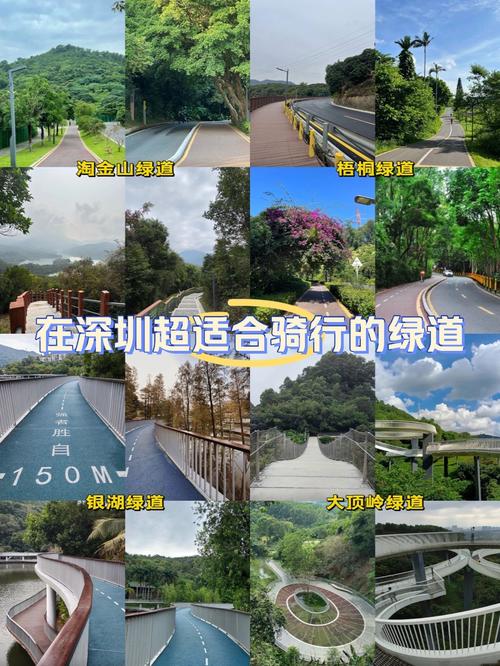 深圳首个系统完成建设骑行道示范段落成